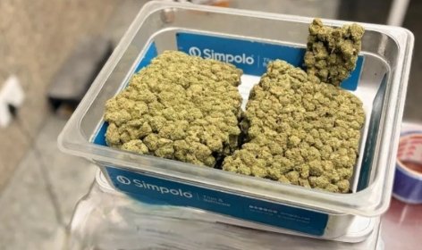 लखनऊ एयरपोर्ट पर 3 करोड़ का गांजा बरामद, एक तस्कर गिरफ्तार